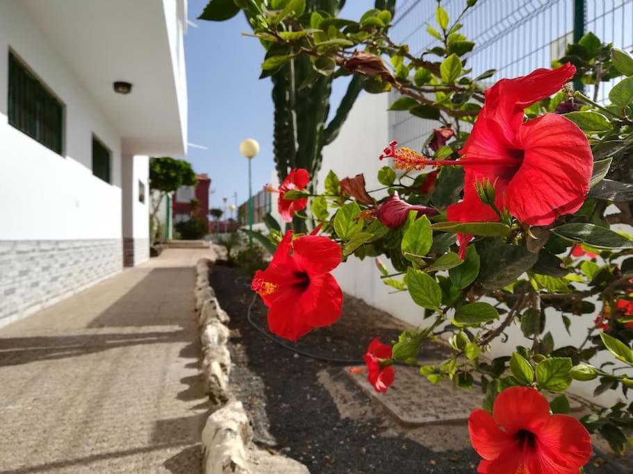 Apartament Casa Azul Costa De Antigua Zewnętrze zdjęcie