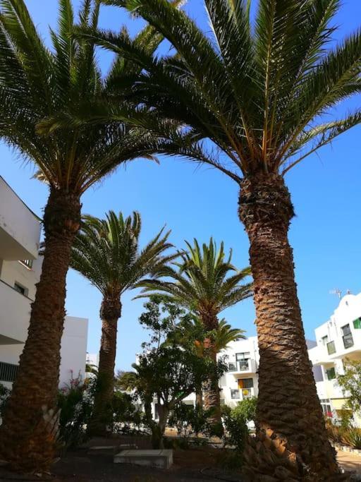 Apartament Casa Azul Costa De Antigua Zewnętrze zdjęcie