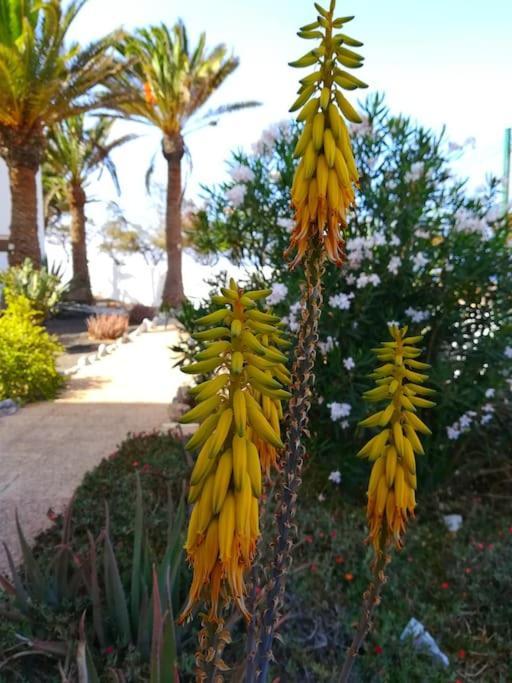 Apartament Casa Azul Costa De Antigua Zewnętrze zdjęcie